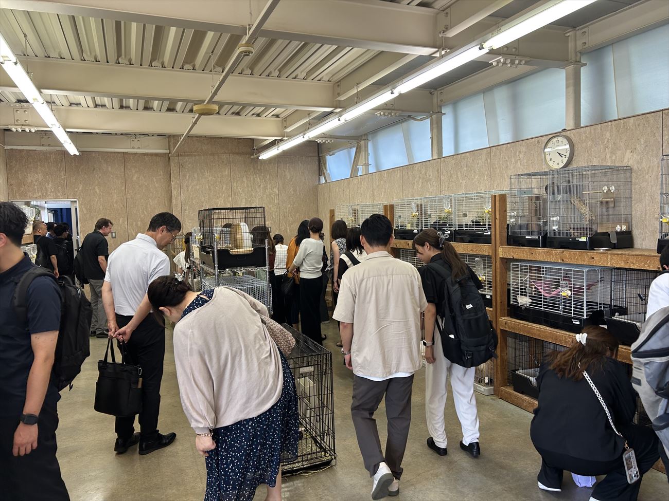 中村学園の職員がちば愛犬の「おゆみ野ドッグサイト」に集合(専門学校ちば愛犬動物フラワー学園)