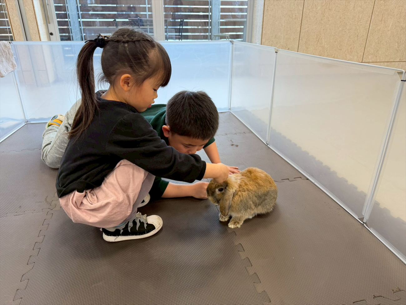 8/1(土)・9/12(土)「ふれあい動物園」を開催します(専門学校ちば愛犬動物フラワー学園)